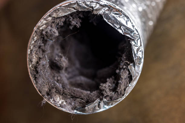 Best HVAC System Cleaning  in Rogue River, OR